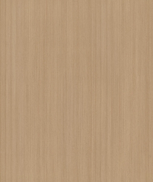 ModernWood Texture