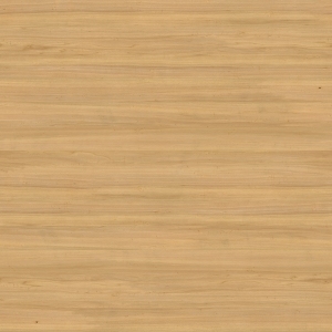 ModernWood Texture