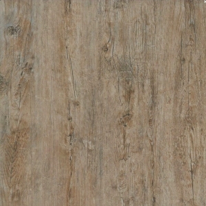 ModernWood Texture