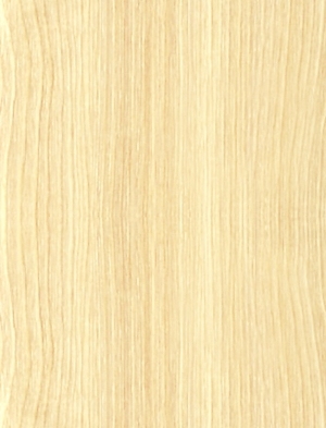 ModernWood Texture