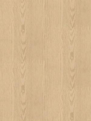 ModernWood Texture