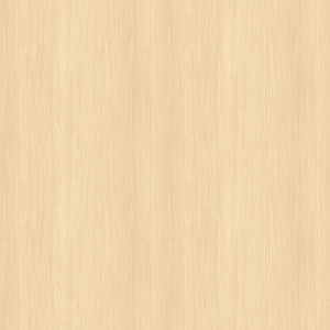 ModernWood Texture