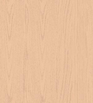 ModernWood Texture