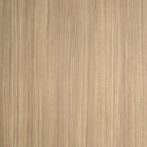 ModernWood Texture