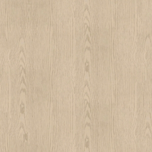 ModernWood Texture