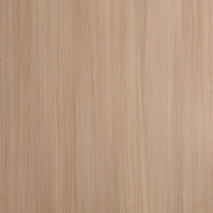 ModernWood Texture