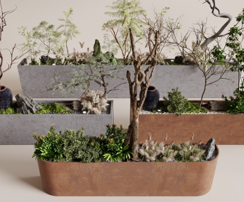 Modern Flower Bed, Flower Bowl, Flower Box-ID:497341296