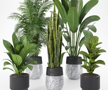 Modern Ground Green Plant Potted Plants-ID:976181055