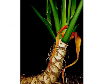 Modern Painting-ID:502259025