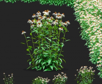 Modern Flowers And Grass-ID:709764007