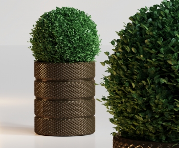 Modern Flower Bed, Flower Bowl, Flower Box-ID:523508078