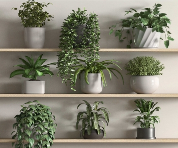 Modern Potted Green Plant-ID:805303109