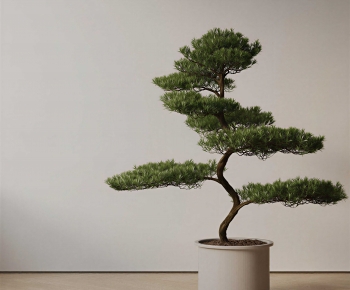 New Chinese Style Ground Green Plant Potted Plants-ID:167270903