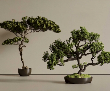 New Chinese Style Ground Green Plant Potted Plants-ID:629565951