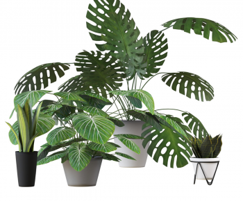 Modern Ground Green Plant Potted Plants-ID:364398004
