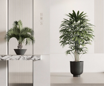 Modern Ground Green Plant Potted Plants-ID:517887121
