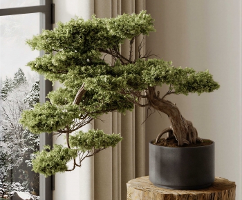 New Chinese Style Bonsai-ID:820605044