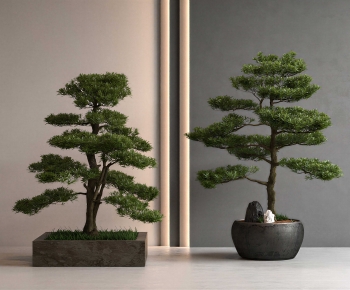 New Chinese Style Ground Green Plant Potted Plants-ID:145838023