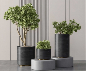 Modern Ground Green Plant Potted Plants-ID:132150718