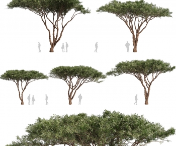 Modern Tree-ID:836328989