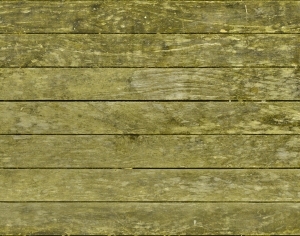 ModernWood Plank