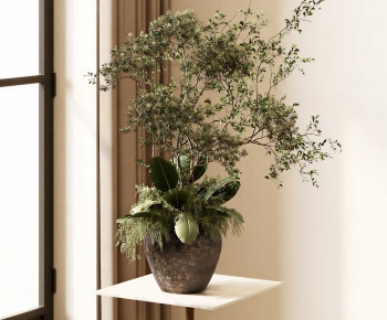 Modern Flower Arrangement-ID:812582025