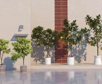 Modern Ground Green Plant Potted Plants-ID:519819384