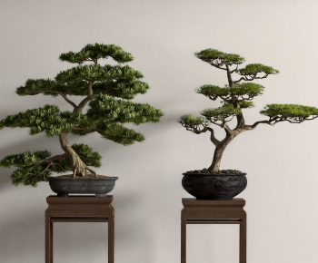 New Chinese Style Bonsai-ID:281860119
