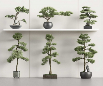 New Chinese Style Ground Green Plant Potted Plants-ID:504240047