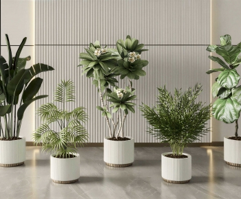 Modern Ground Green Plant Potted Plants-ID:992820983