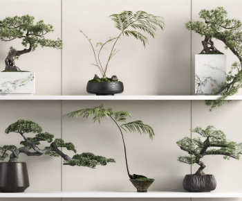 New Chinese Style Bonsai-ID:884922031