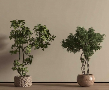 Modern Ground Green Plant Potted Plants-ID:566220059