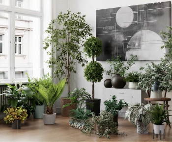 Modern Ground Green Plant Potted Plants-ID:813741921