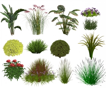 Modern Flowers And Grass-ID:885409128