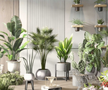 Modern Ground Green Plant Potted Plants-ID:750644922