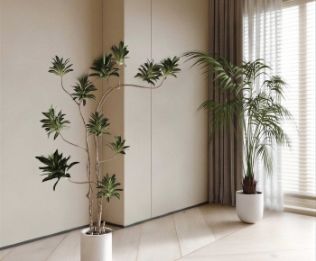 Modern Ground Green Plant Potted Plants-ID:328149088