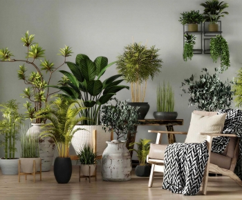 Modern Ground Green Plant Potted Plants-ID:646790988