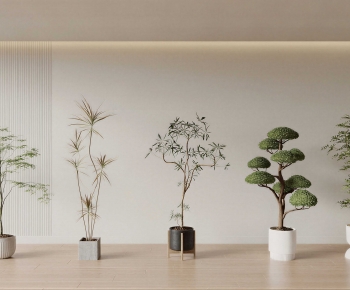 Modern Ground Green Plant Potted Plants-ID:889347084