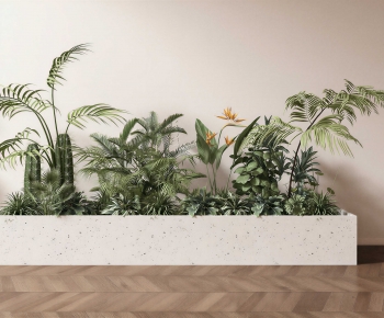 Modern Flower Bed, Flower Bowl, Flower Box-ID:122066976