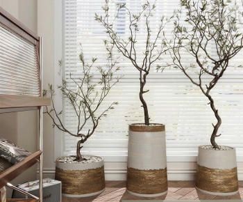 Wabi-sabi Style Ground Green Plant Potted Plants-ID:245207071