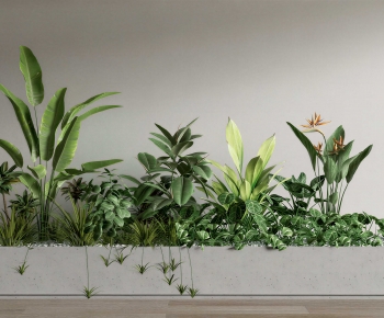 Modern Flower Bed, Flower Bowl, Flower Box-ID:930473099