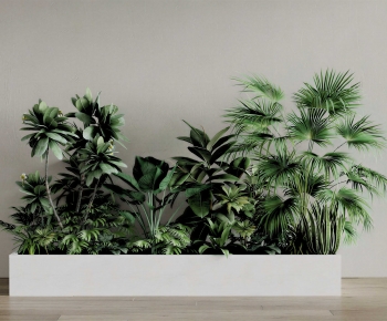 Modern Flower Bed, Flower Bowl, Flower Box-ID:485889916