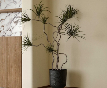 Modern Ground Green Plant Potted Plants-ID:502962119