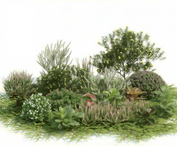 Modern Plant Pile-ID:764281996