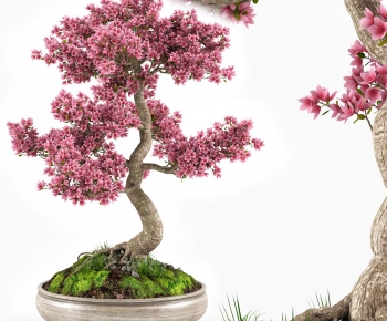 Chinese Style Bonsai-ID:318368915