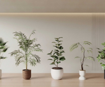 Modern Ground Green Plant Potted Plants-ID:228063118