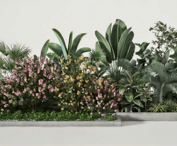 Modern Plant Pile-ID:435652979