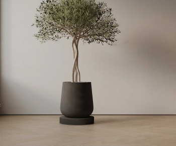 Modern Ground Green Plant Potted Plants-ID:150542022