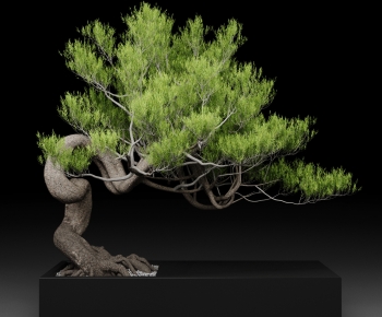 Modern Bonsai-ID:782859092