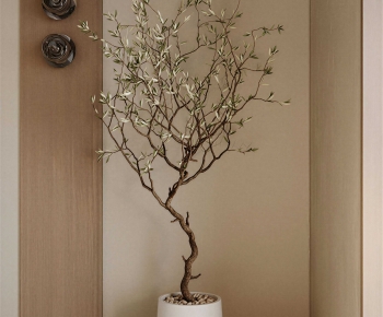 Wabi-sabi Style Ground Green Plant Potted Plants-ID:567899946